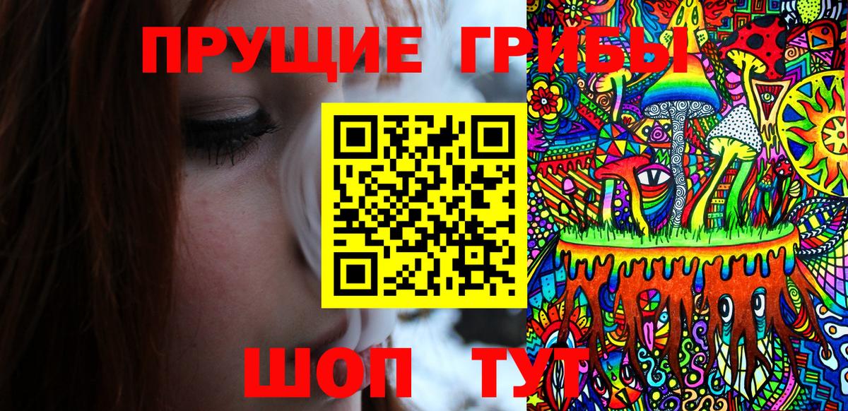 Сунжа  Псилоцибиновые грибы Magic Shrooms  Вход с VPN  Галлюциногенные грибы Magic Shrooms 