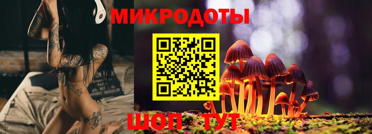 ГАШ Сунжа
